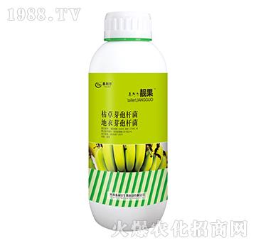 �㽶��(zhu��n)�ÿݲݡ�����ѿ�ߗU��-�n��-̩����