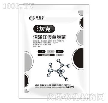 �ӝɼt�نΰ���-�ҿ�-̩����