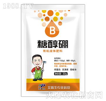 �ЙCҺ�w����-�Ǵ���-������