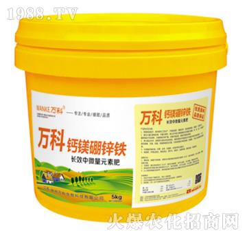 �}�V���\�F-�f(w��n)��