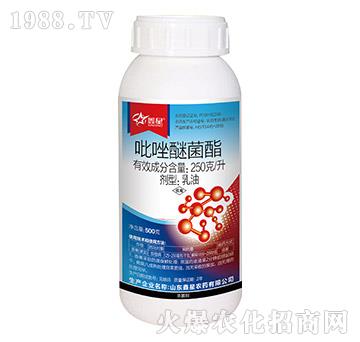 250��ÿ�������Ѿ���-����