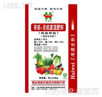 ���Ҍ����ЙC�o�C�ͻ����-�G����-��������