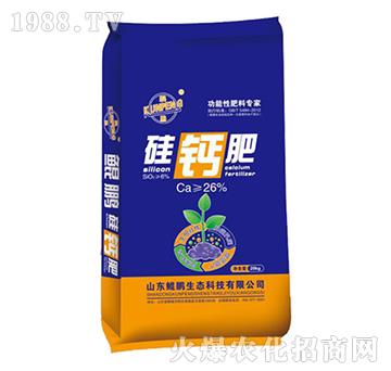 ���}�ʣ�20g��-�H�i���B(t��i)