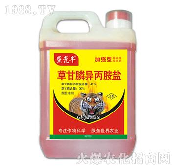 41%�ݸ�좮������}���ӏ��ͣ�-����ţ-�ݵ�˹