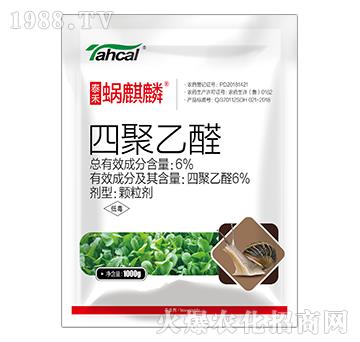 6%�ľ���ȩ��1000�ˣ�-΁����-̩�̻���