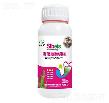 �����Ǵ��}�V-ʩ��ɭ-��ɭ��