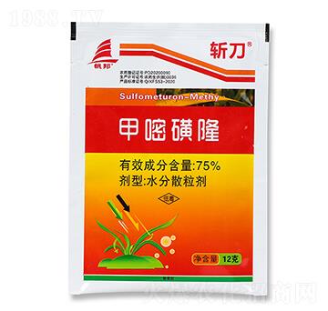 12�˼��׻�¡-�ص�-ϲ�S��