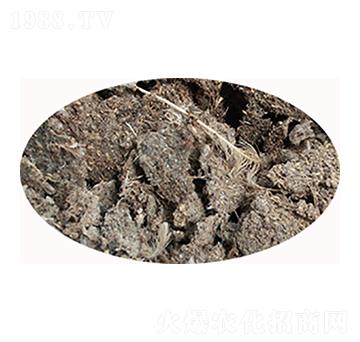 �u�S�ЙC(j��)�ʃr��-���S����