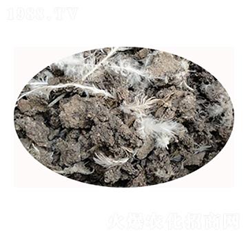 ���u�S�S��-���S����