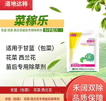 ���{(l��n)�������{(l��n)�����݄�-���{(l��n)�������{(l��n)�����-���{(l��n)�������{(l��n)������-���n