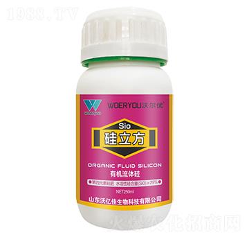 �ЙC���w��-������-�֠���(y��u)