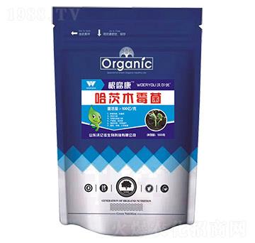 ����ľù��-������-�֠���(y��u)