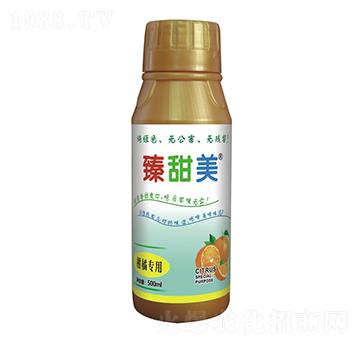 ���ٌ�(zhu��n)�� ������ ʢ����