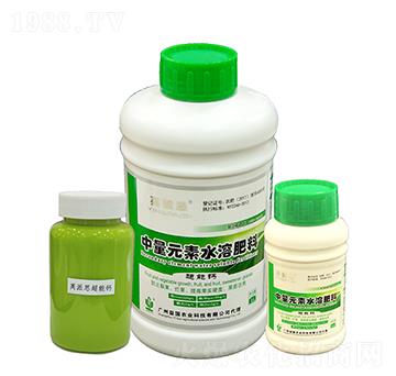 Ӣ��˼�������} ����r(n��ng)�I(y��)