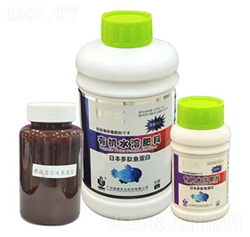 Ӣ��˼���ձ������~(y��)���� ���(gu��)�r(n��ng)�I(y��)