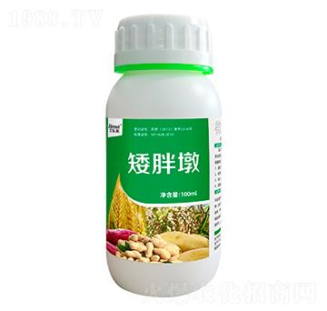 ֲ�����L(zh��ng)ƽ�℩ ���ֶ� ����(l��)��