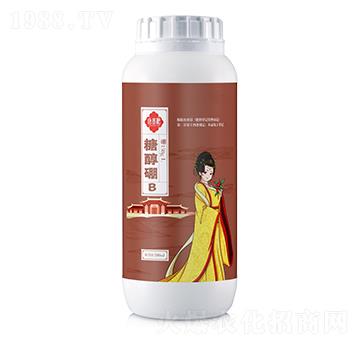 �Ǵ��� ���F�� �Wؐ˹