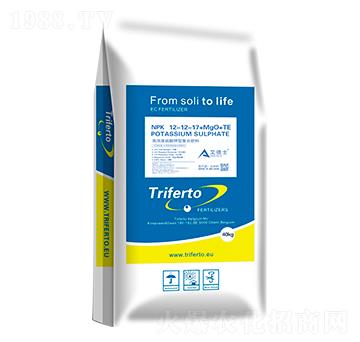 �ߝ��������͏�(f��)�Ϸ���12-12-17+MgO+TE ����ʿ �طƠ��D