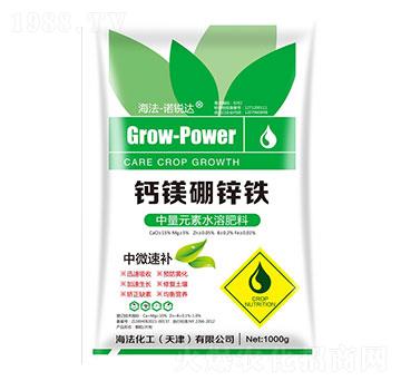 �}�V���\�F �Z�J�_(d��) ����