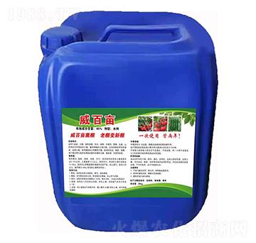 ���ٮ� �����S