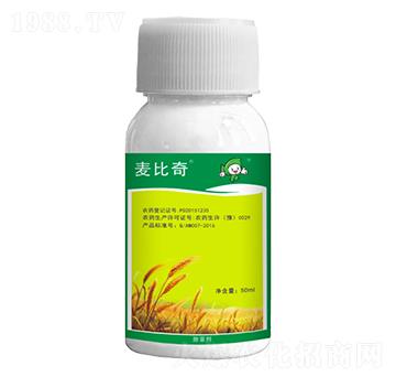 15%Ȳ����-������-�S�՘�