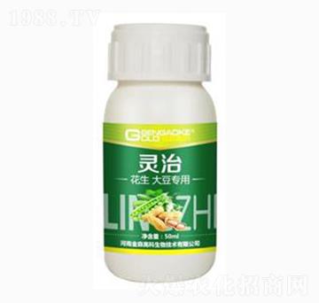 �����󶹌����͏�(f��)��΢�������-�`��-��ɭ�߿�