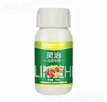 �ϲˌ��Ï�(f��)��΢�������-�`��-��ɭ�߿�