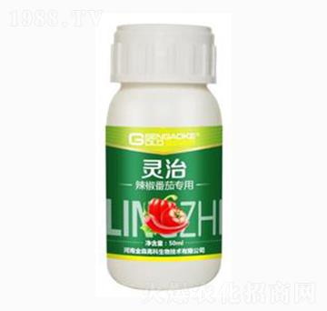 �������ь����͏�(f��)��΢�������-�`��-��ɭ��