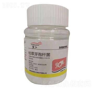 �ݲ�ѿ�ߗU������ù�����ã�-����-��ɭ�߿�