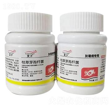 �ݲ�ѿ�ߗU������ù�������ã�-����-��ɭ�߿�