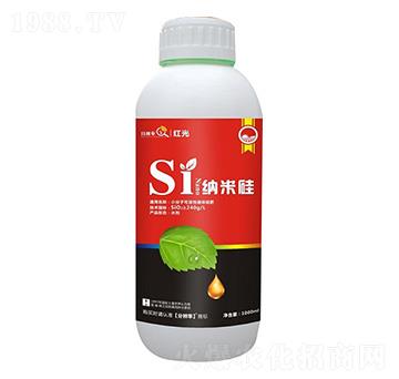 �{�׹� �t�� �ֱ�������