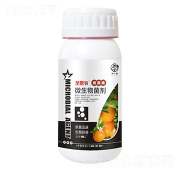 ƿ�b����������΢�������-ʥ���r-��ʥ�r�I(y��)