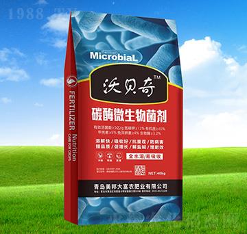 ̼ø΢�������-��ؐ�R-������r(n��ng)