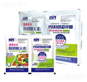 �n�����L�����+�}�V�f�i�\��-�������r