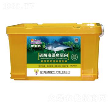 ̼ø�����~����-��(y��u)����-����r(n��ng)�I(y��)