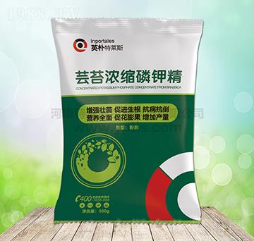 �|̦��s��⛾�-Ӣ�����R˹