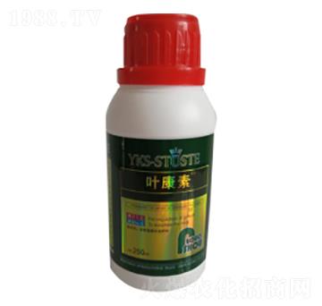 250ml�������~���-�~����-�ն���