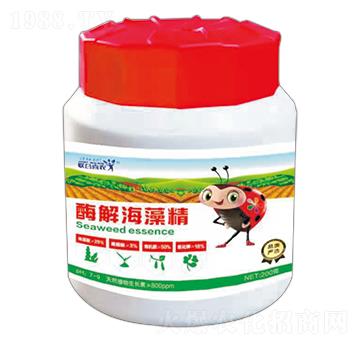 ø�⺣�徫-(li��n)��ϲ�r(n��ng)