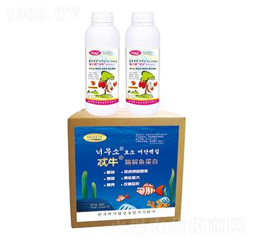 ø���~(y��)����-߯ţ-�A��