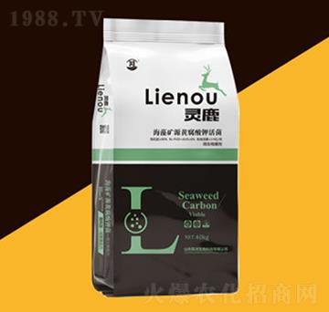 ����VԴ�S����⛻��-�`¹-�P������