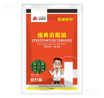 ��(x��)�S�ù��-�߲��晎-������