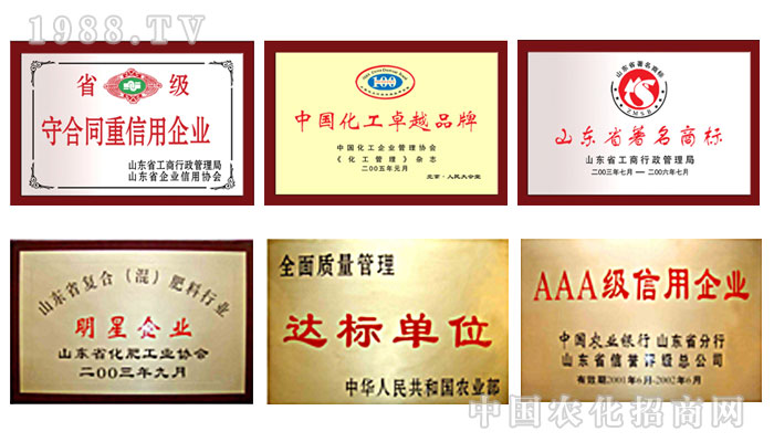 ɽ�|��ɽ�S�����B(t��i)�ʘI(y��)���޹�˾