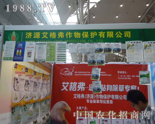 ���񸥡������N�����݌�����