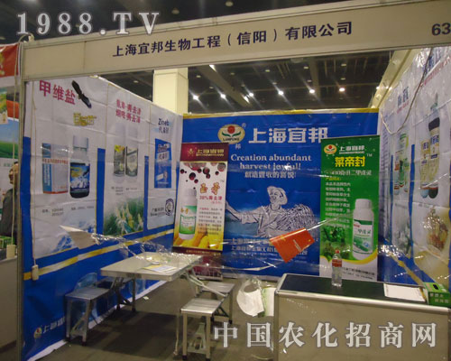 �~�۷�������R��ƴ