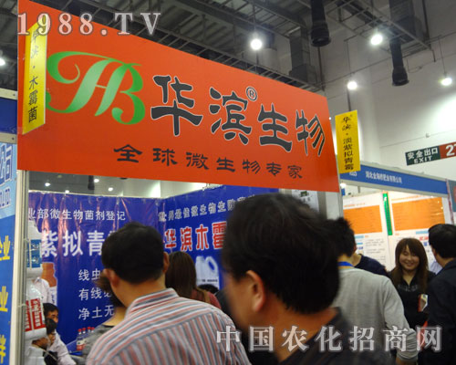 �A�I������΢�����