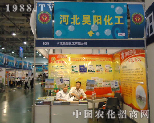 2011��B�Tֲ�����кӱ��ꖻ����A���ǈ�