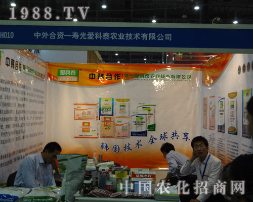 �۹�ۿ�̩���n�����g����