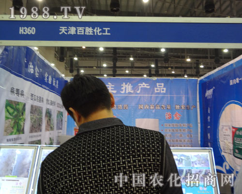 ���ل�������27��ȫ��ֲ����