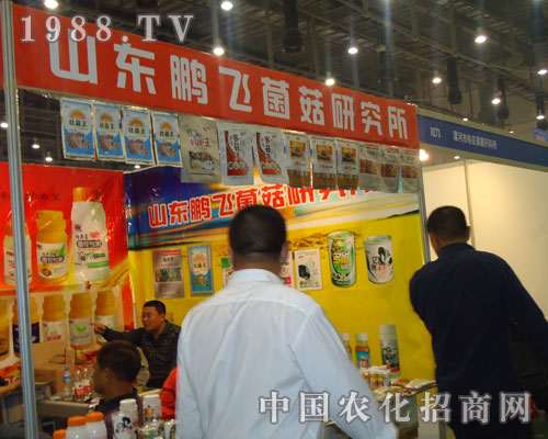 2011�B�T(m��n)ȫ��(gu��)ֲ����(hu��)���i�w�����о�����(sh��)�F(xi��n)�v�w