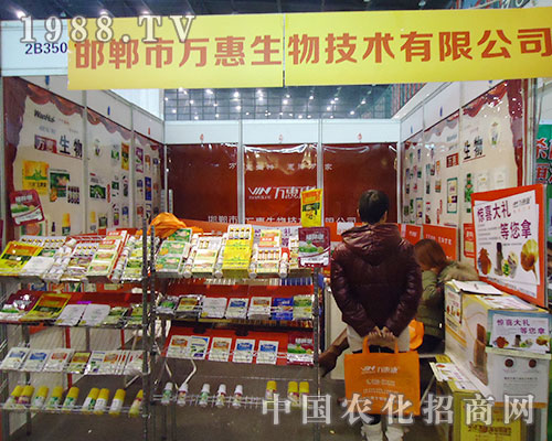 �����f(w��n)�ݵ�28������ֲ��չ�e�k��(y��u)�ݻ��(d��ng)